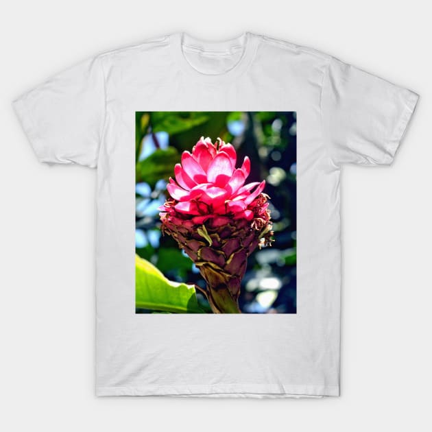 Pink Ginger Tropical Flower Plant T-Shirt by Scubagirlamy